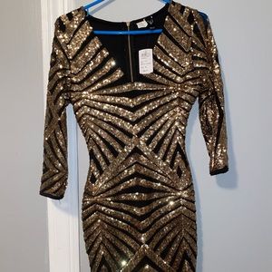 windsor dress brand new